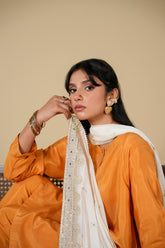 1 Piece Chiffon Dupatta (FZ0950)